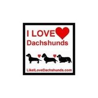 I Love Dachshunds Shop coupons